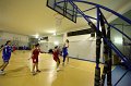 Basket 443062